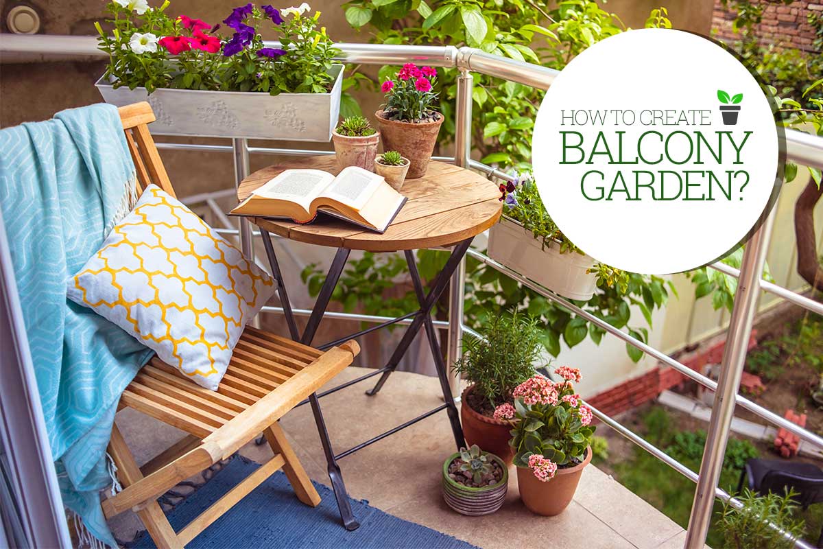 Tiny balcony garden