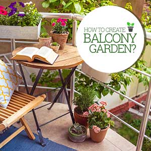 How to create a tiny balcony garden