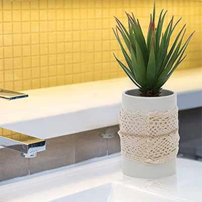White Potted Needle White Potted Needle