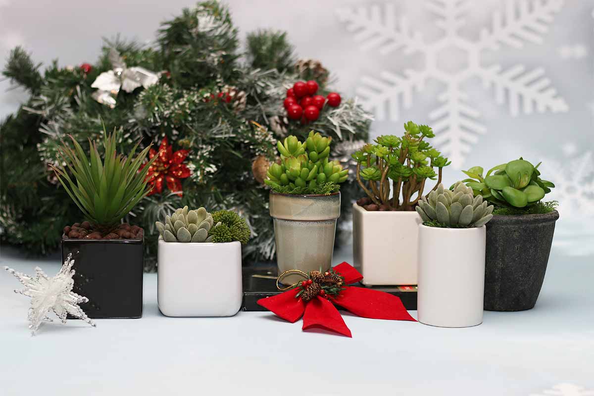 New is the year, let ‘NEW’ fill your homes: Top Home Decor Trends to adopt in 2018