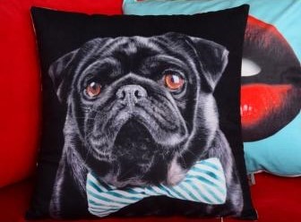 cushion_d