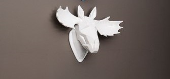 wall_d