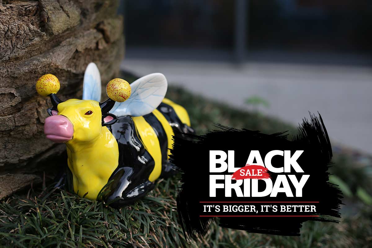 Top Products to Buy During The BLACK FRIDAY Sale