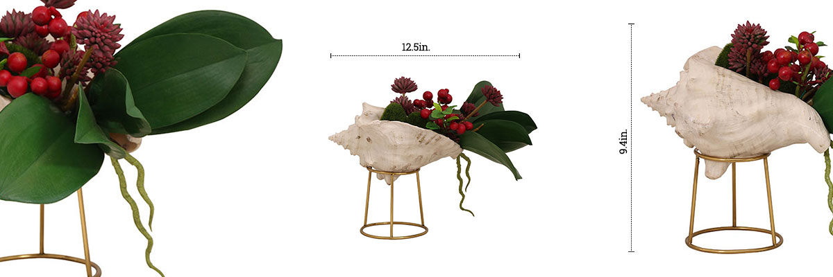 Seashell Floral dimensions