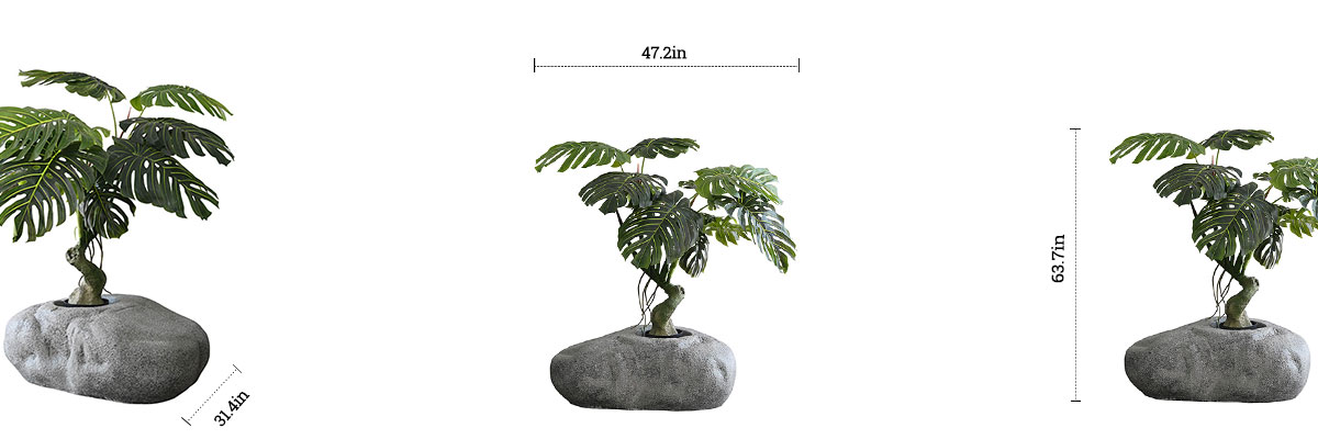 Cloud Planter dimensions