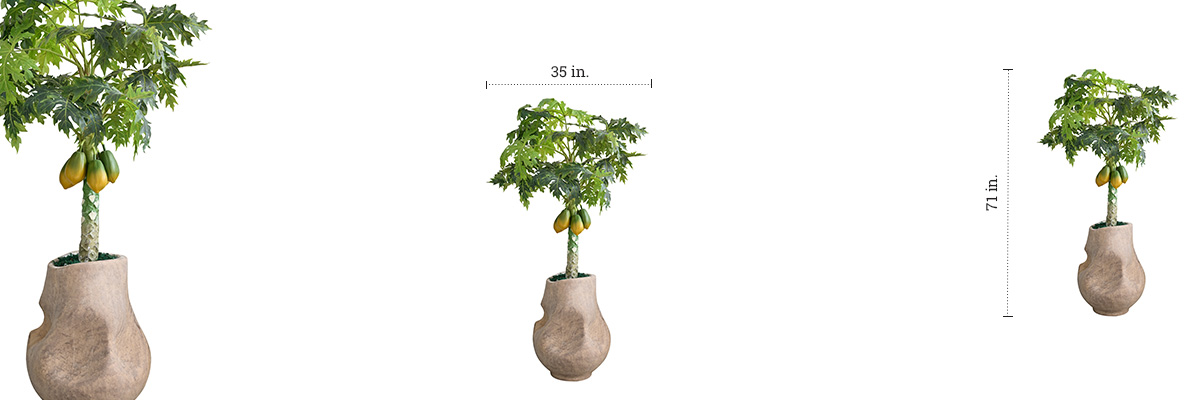 Basil Planter dimensions