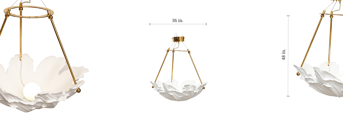 Shell Ceiling Light - Resort dimensions