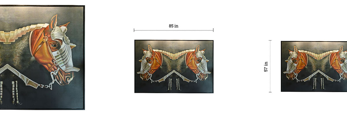 Gallop 11 dimensions