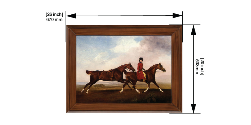 Gallop 8 dimensions