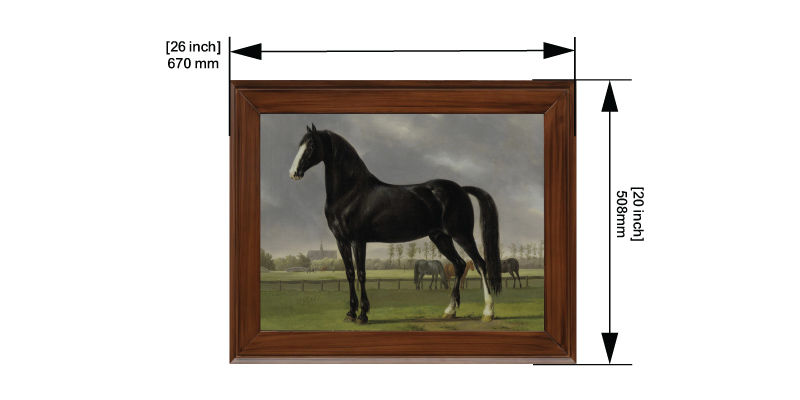 Gallop 2 dimensions