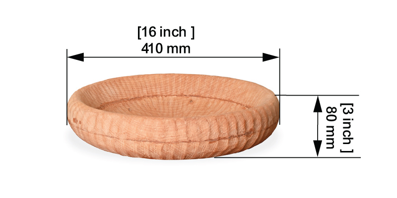 Golden Shell Bowl dimensions