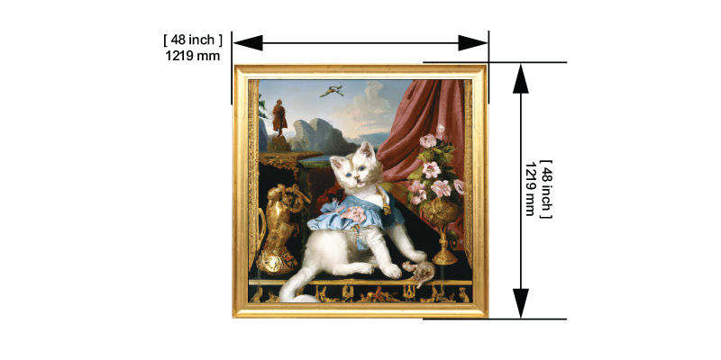 Claws & Paws 1 dimensions