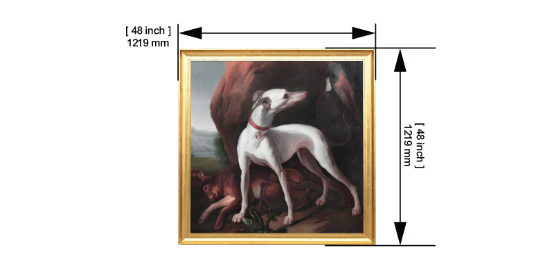 Claws & Paws 3 dimensions