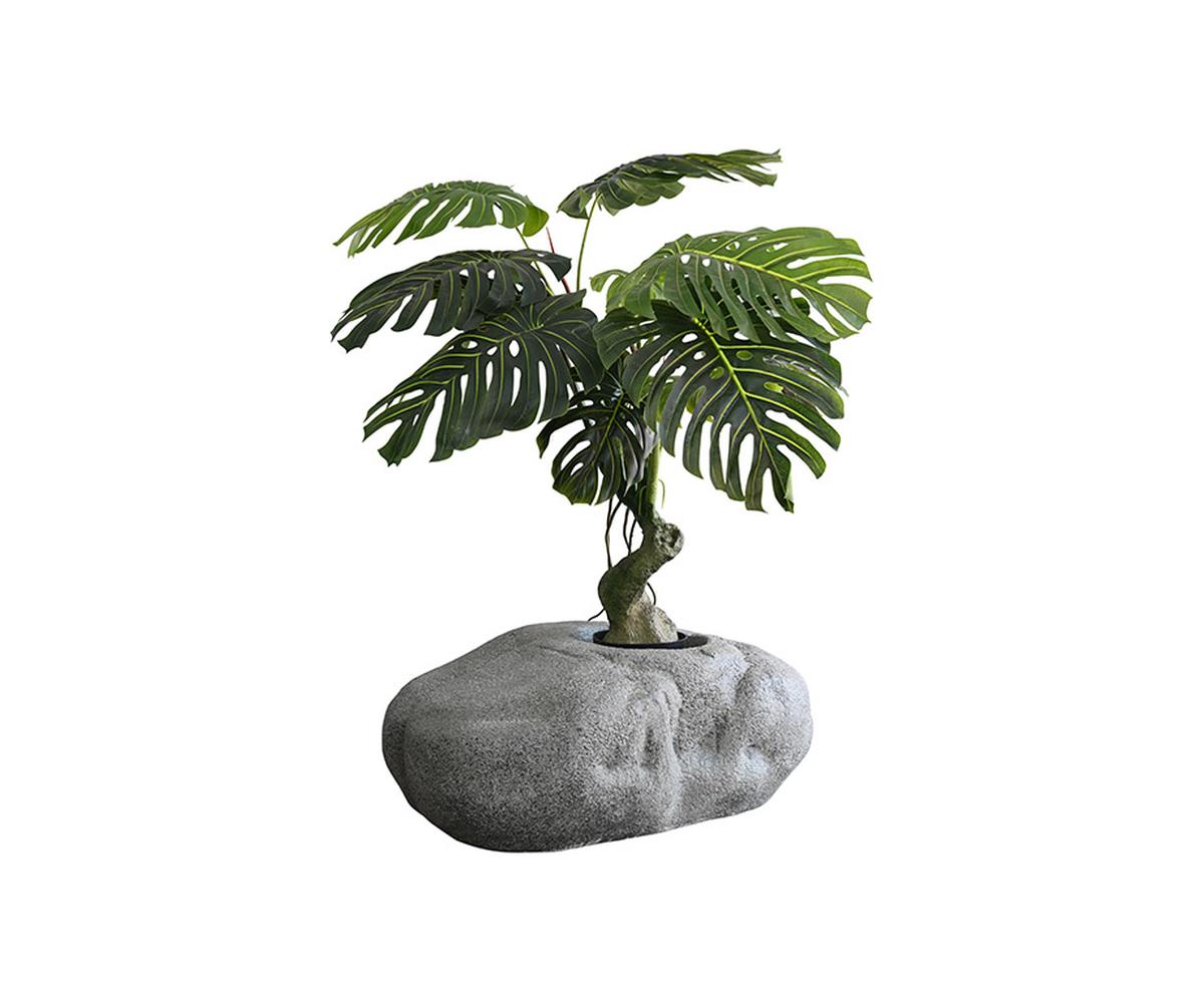 Cloud Planter 2