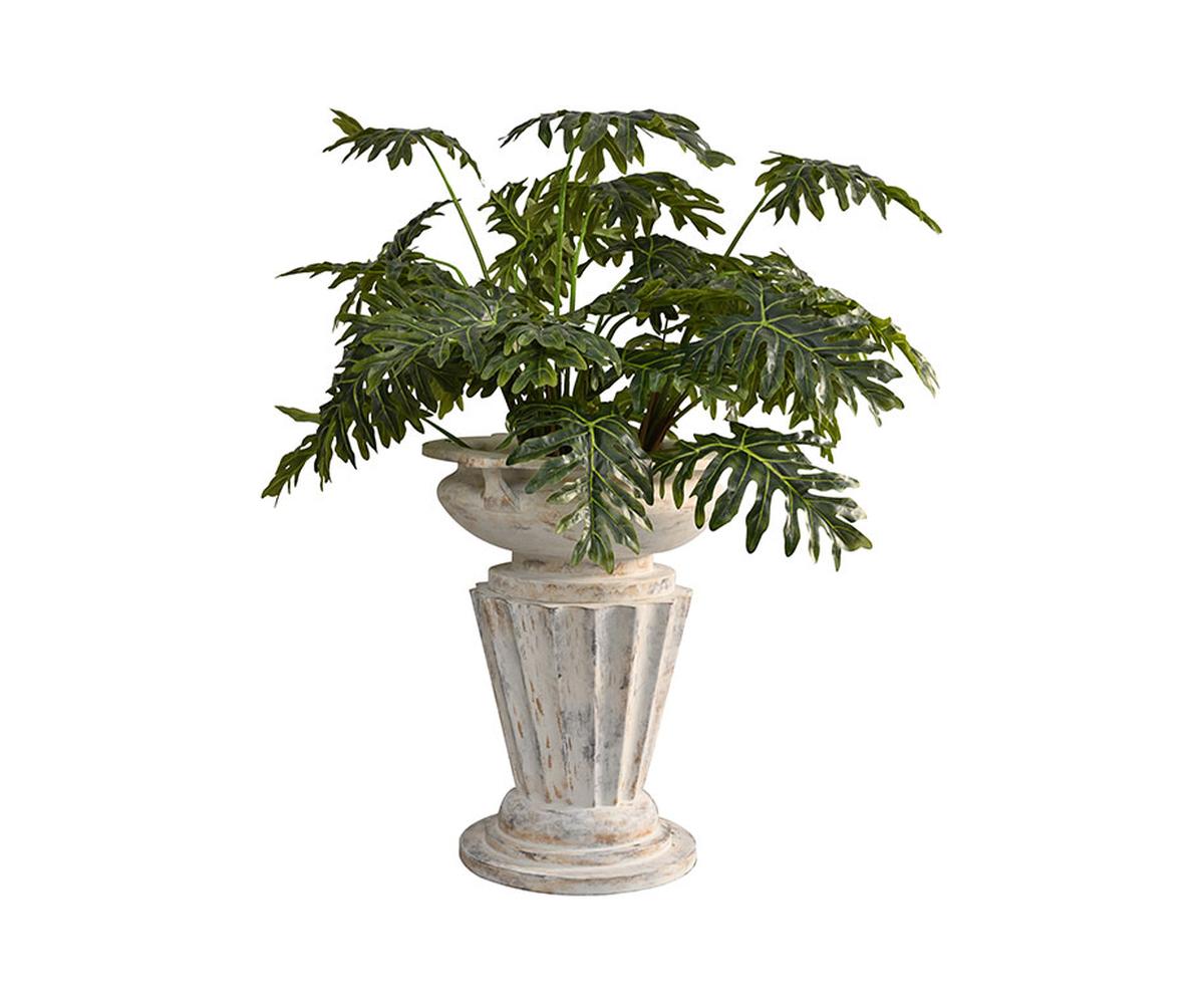 Valencia Planter 2