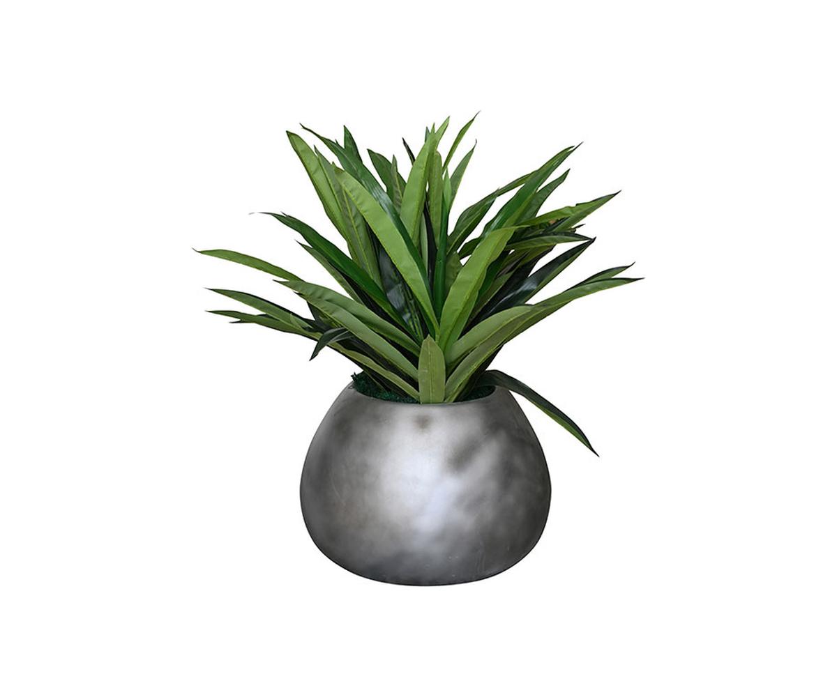 Luke Planter 2