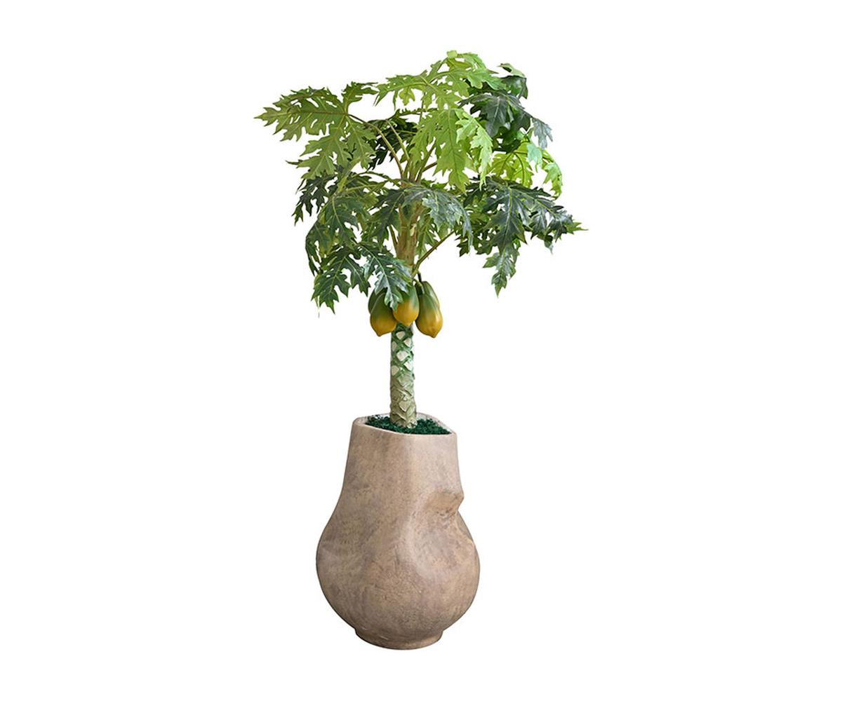 Basil Planter 2