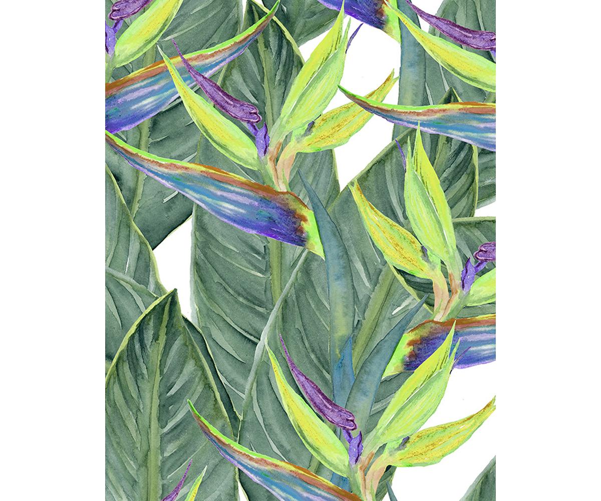 Bamboo Craze 2