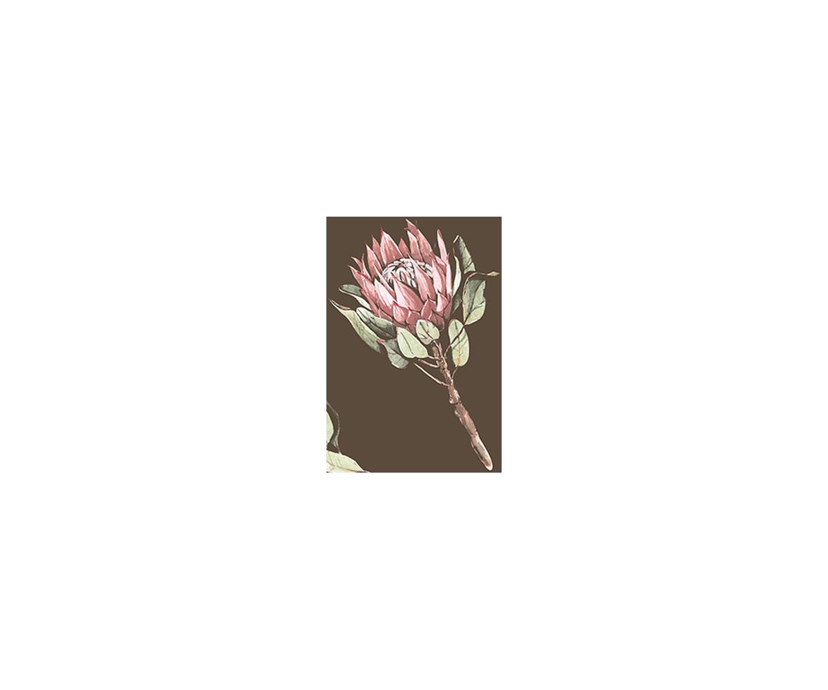 Flowers of Fall 2