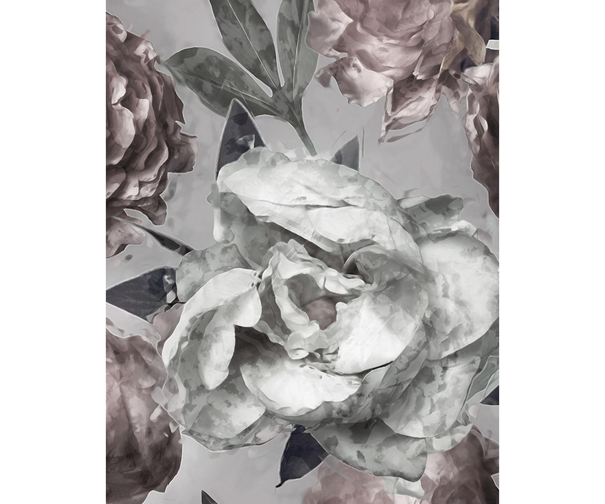 British Rose 2