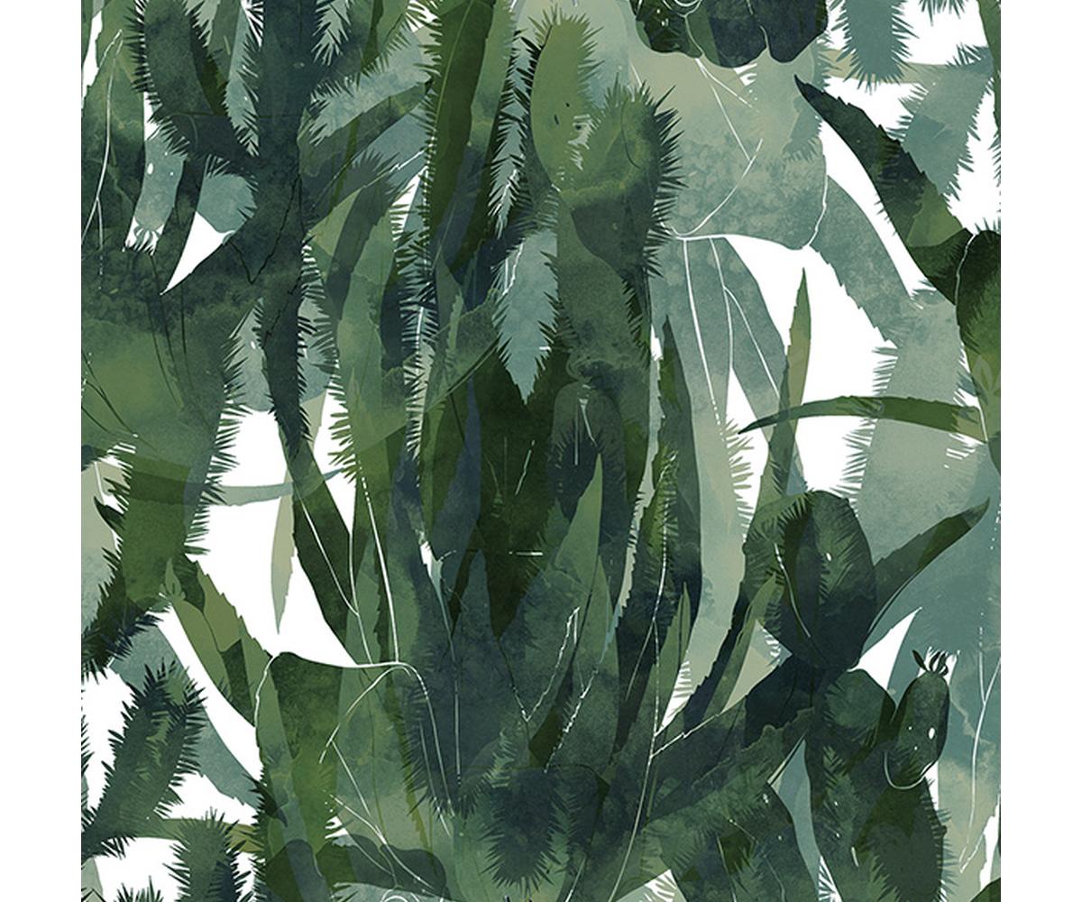 Tropics of Summer