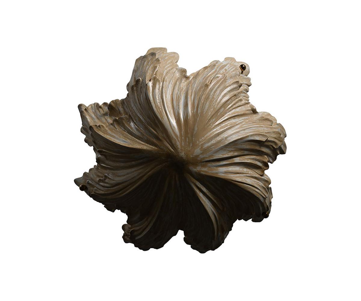 Shell Ceiling Light 5