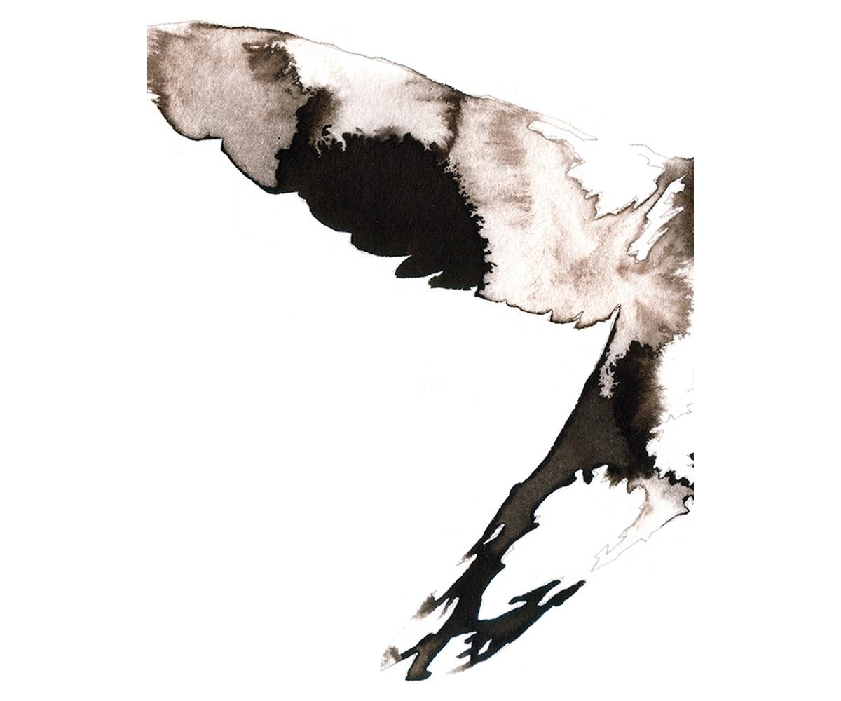 Aerial 1 4