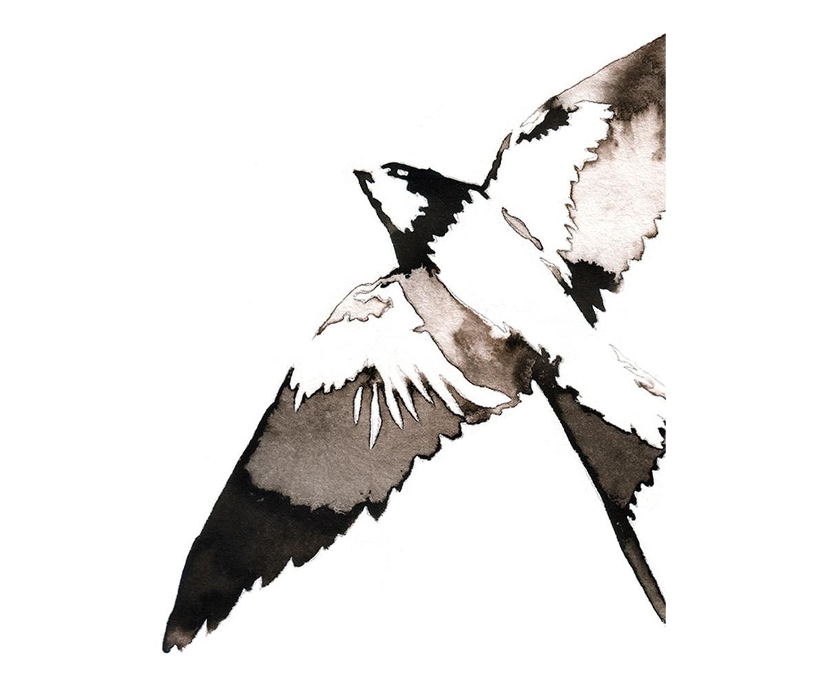 Aerial 3 3