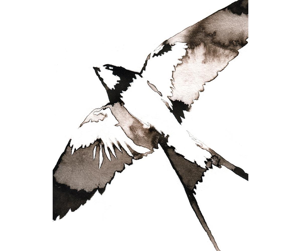 Aerial 3 2