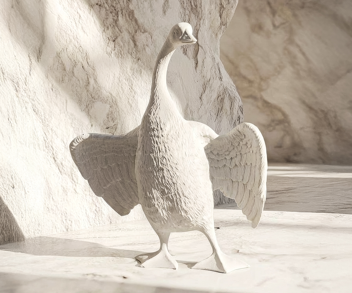 Dove Love 4