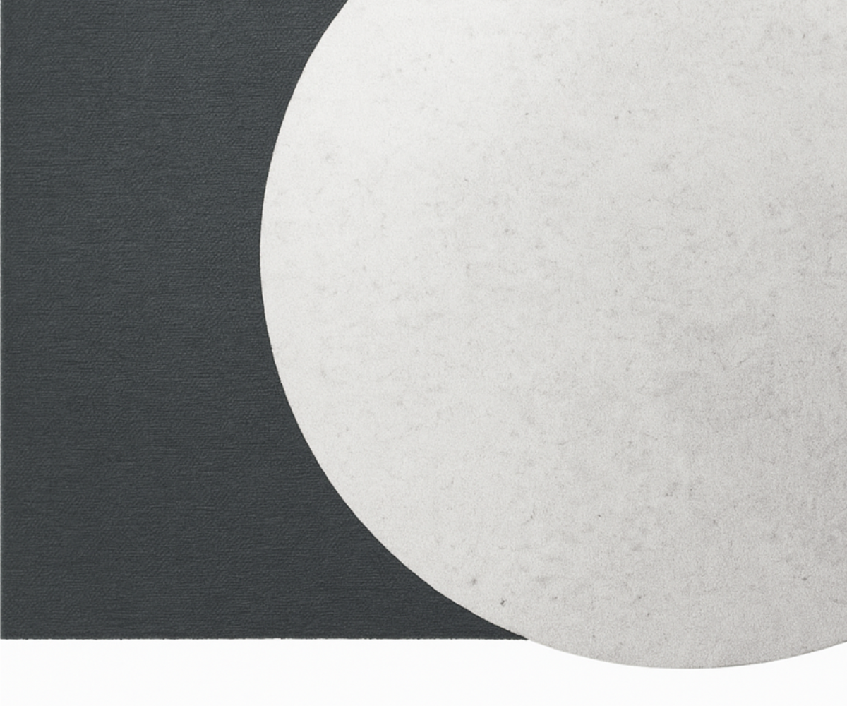 Monochrome Eclipse Tufted Rug 4