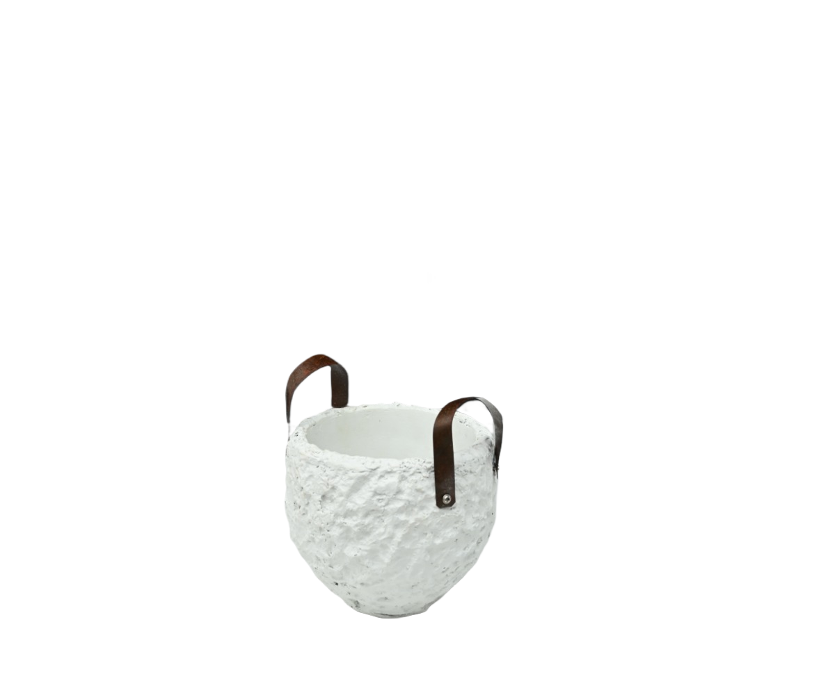 Ivory Fold 2