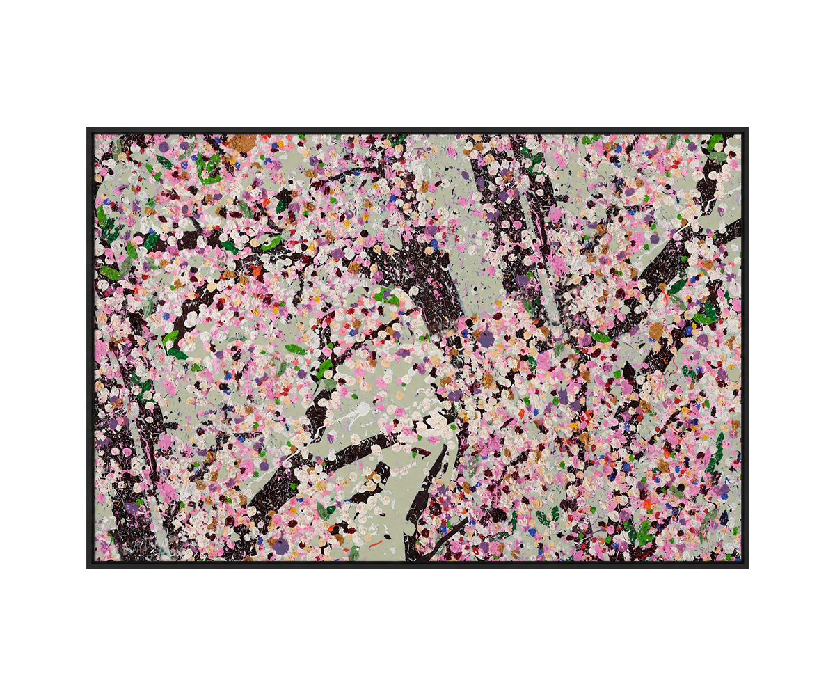 Blossom 1