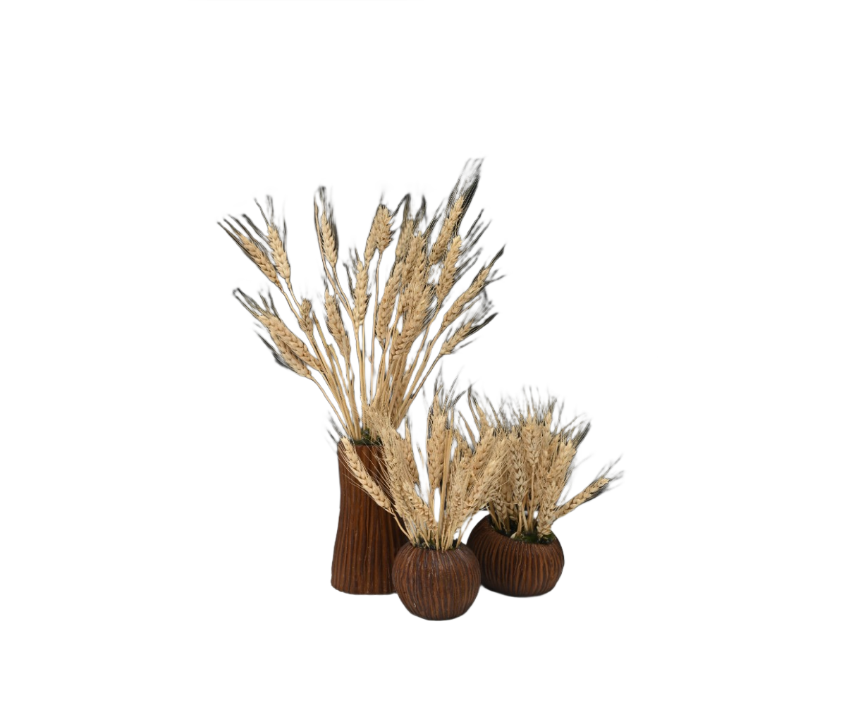 Rustic Breeze 2