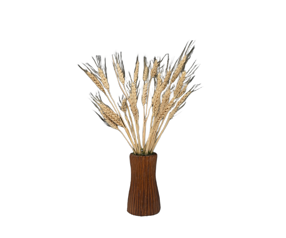 Rustic Breeze 3