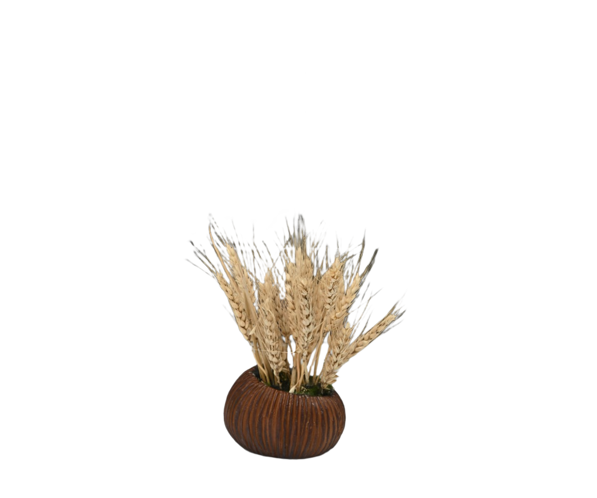 Rustic Breeze 4