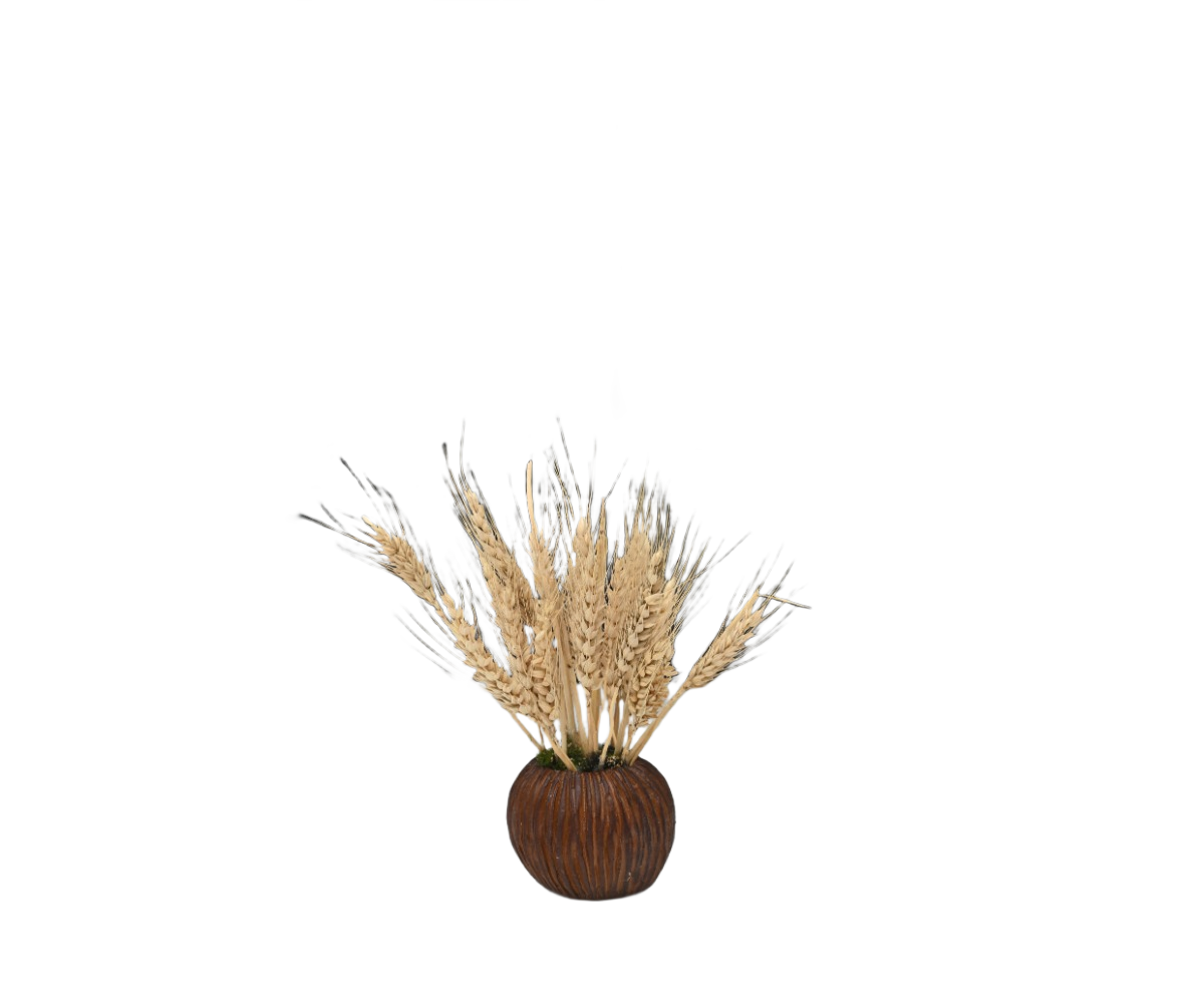 Rustic Breeze 5