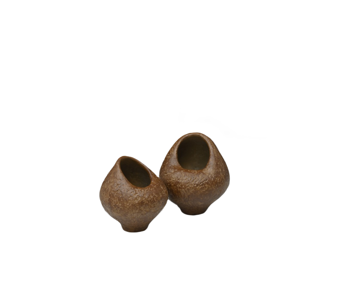Cocoa Pods 2