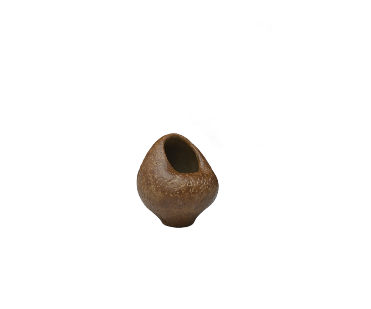 Cocoa Pods 3