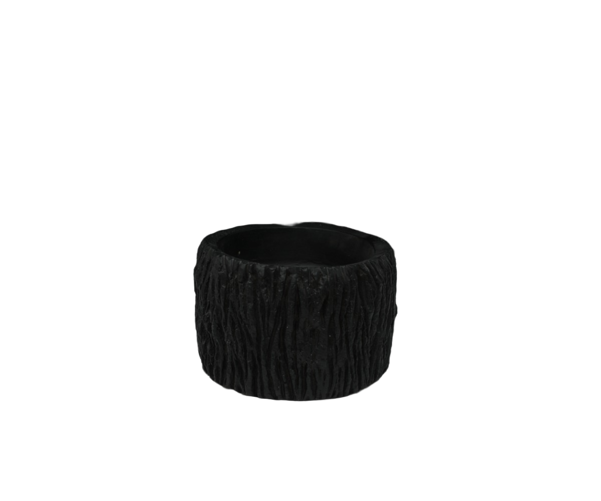 Shadow Nest 2