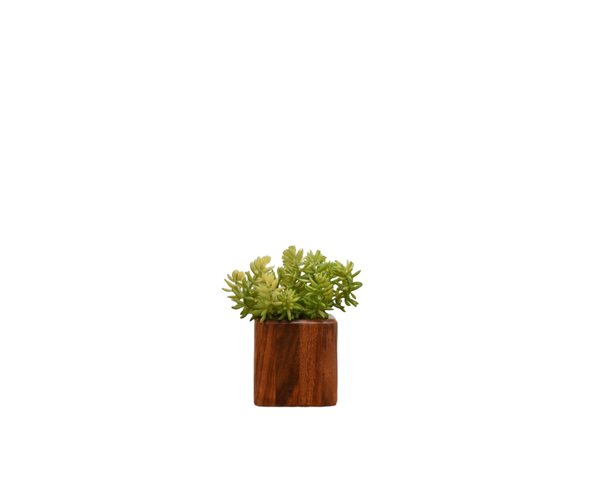 Botanic Ensemble 4